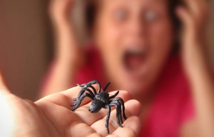 Арахнофобия или страх перед пауками: причины, лечение